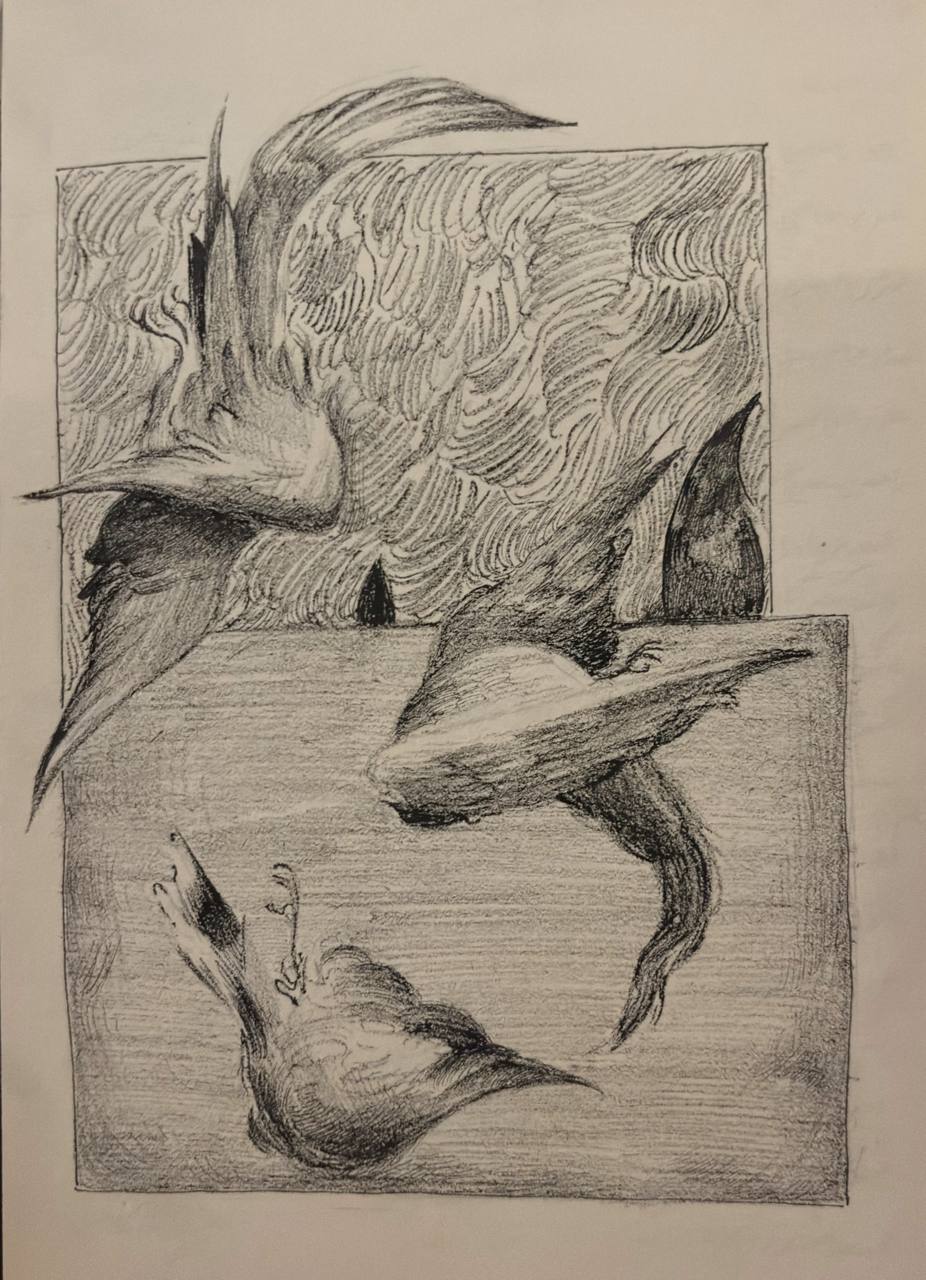 Drawing by Yasaman Mollasalehi, from Selected Drawing